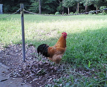 200609200729001.jpg
