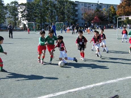 20081129_01.JPG