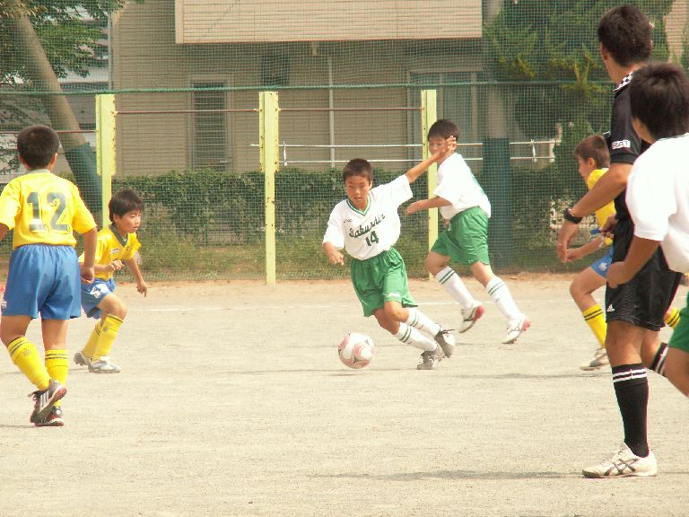 2008_0913012.jpg