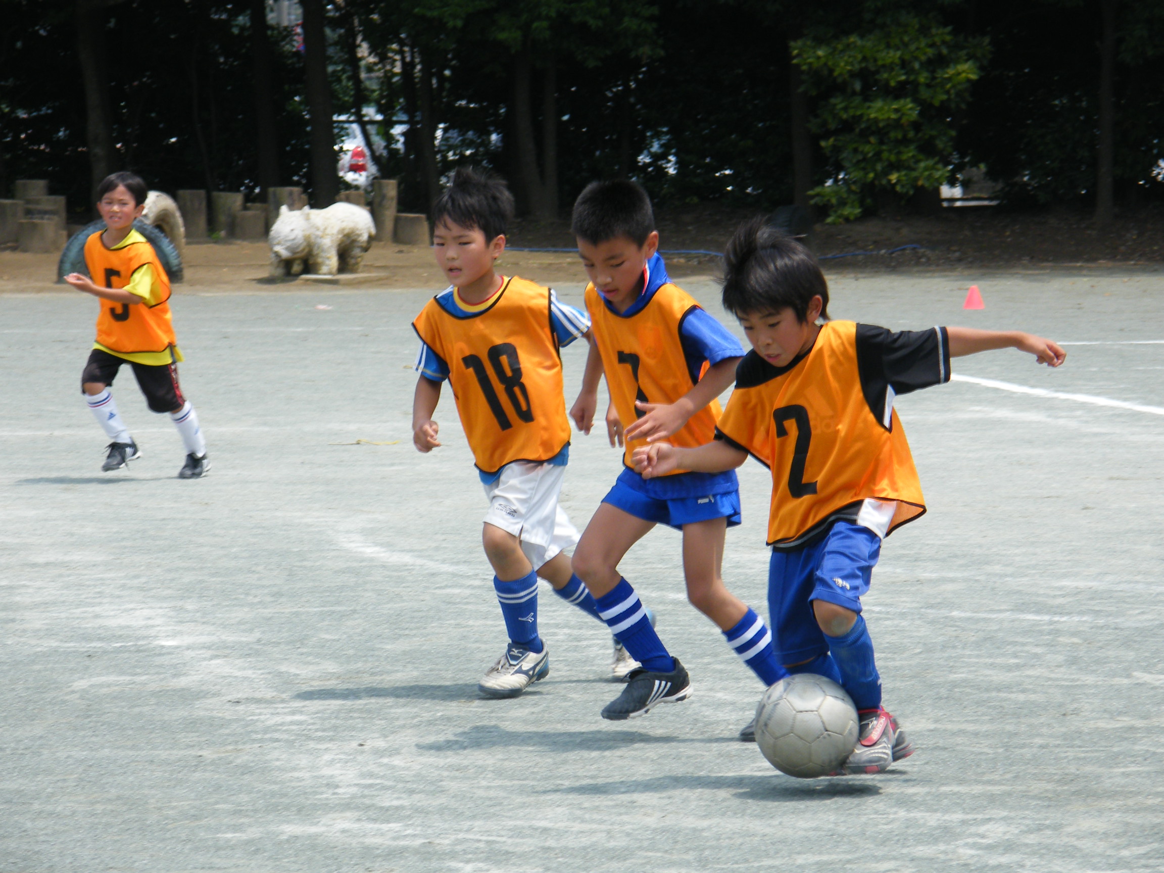 20090613-1.JPG