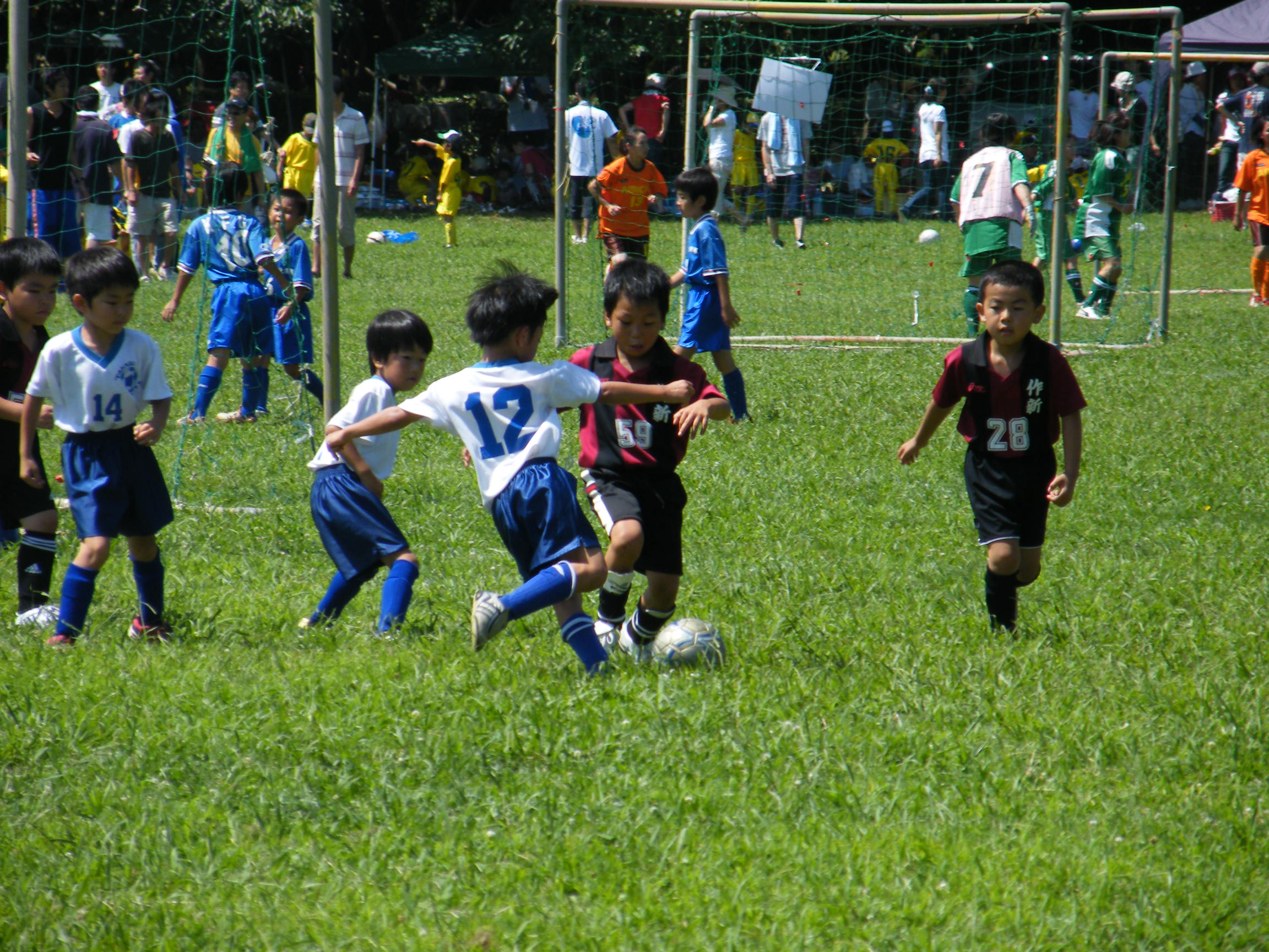 20090726-1.JPG