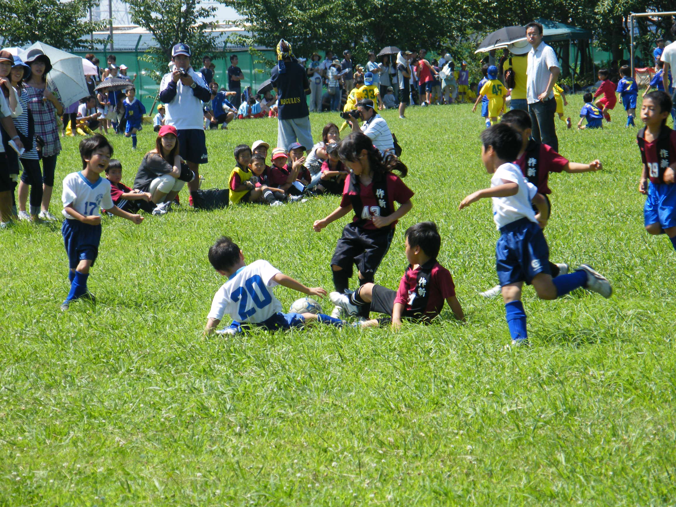 20090726-2.JPG
