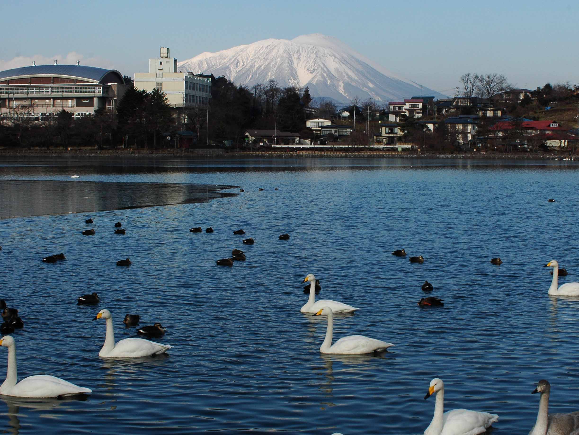 DSC_4839a.jpg