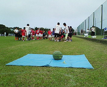 NEC_0022.JPG