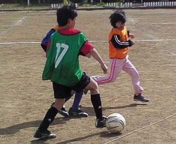 NEC_0083.JPG