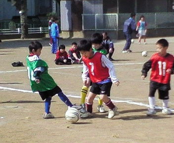NEC_0086.JPG