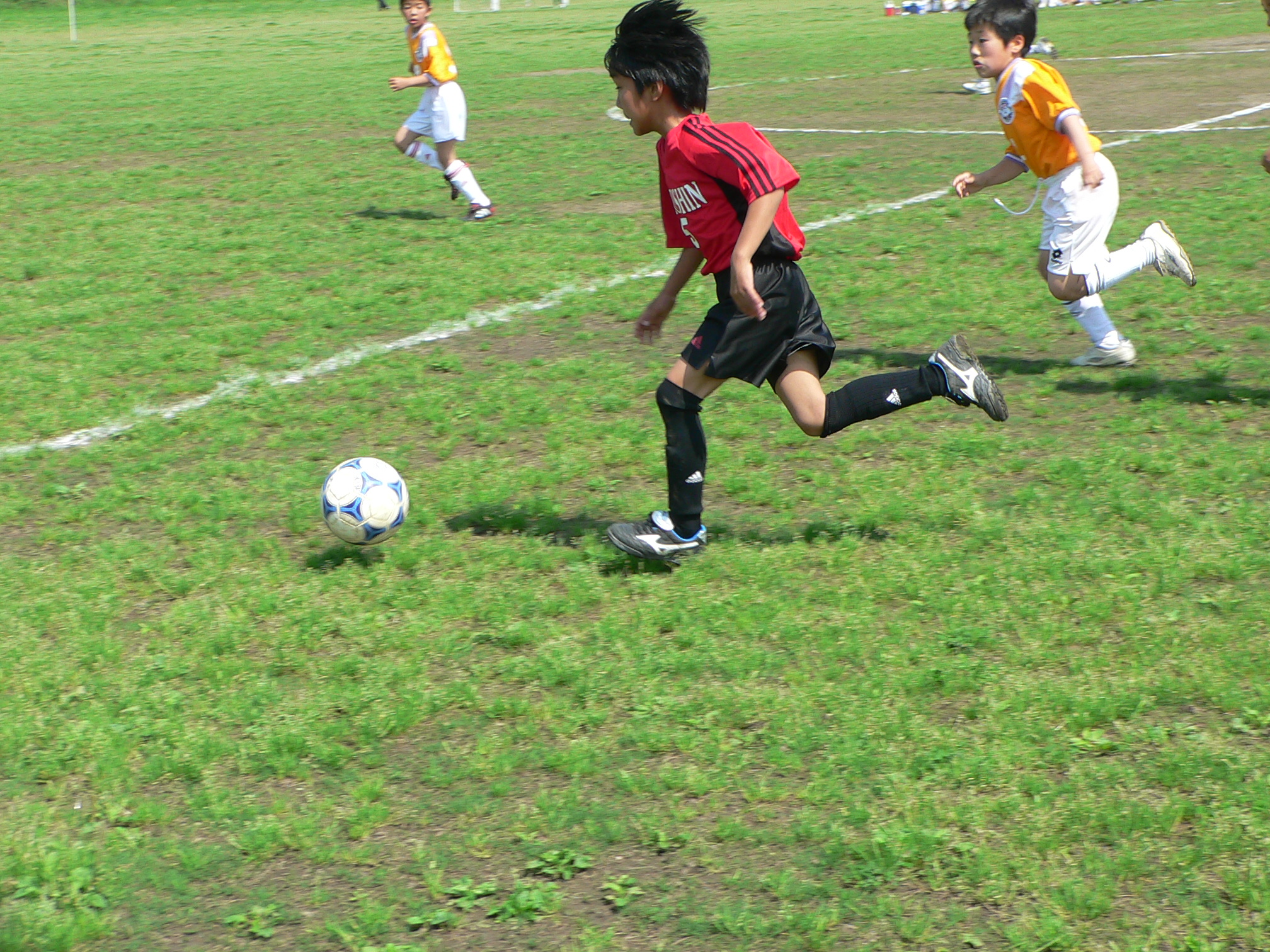 P1010115.JPG
