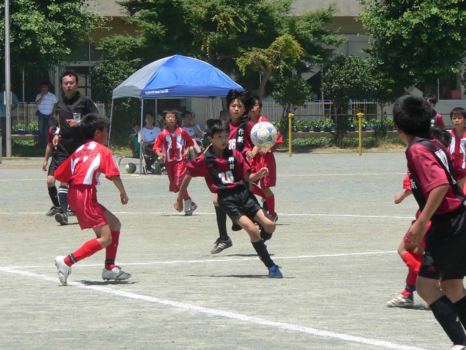 P1020028.JPG