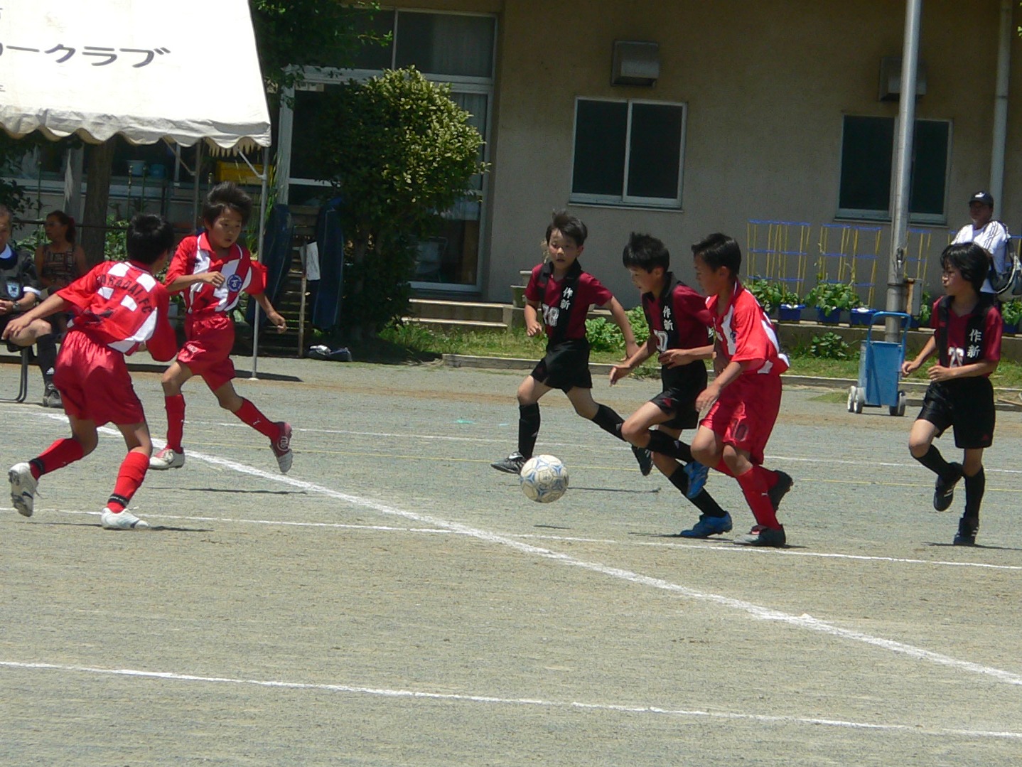 P1020036.JPG