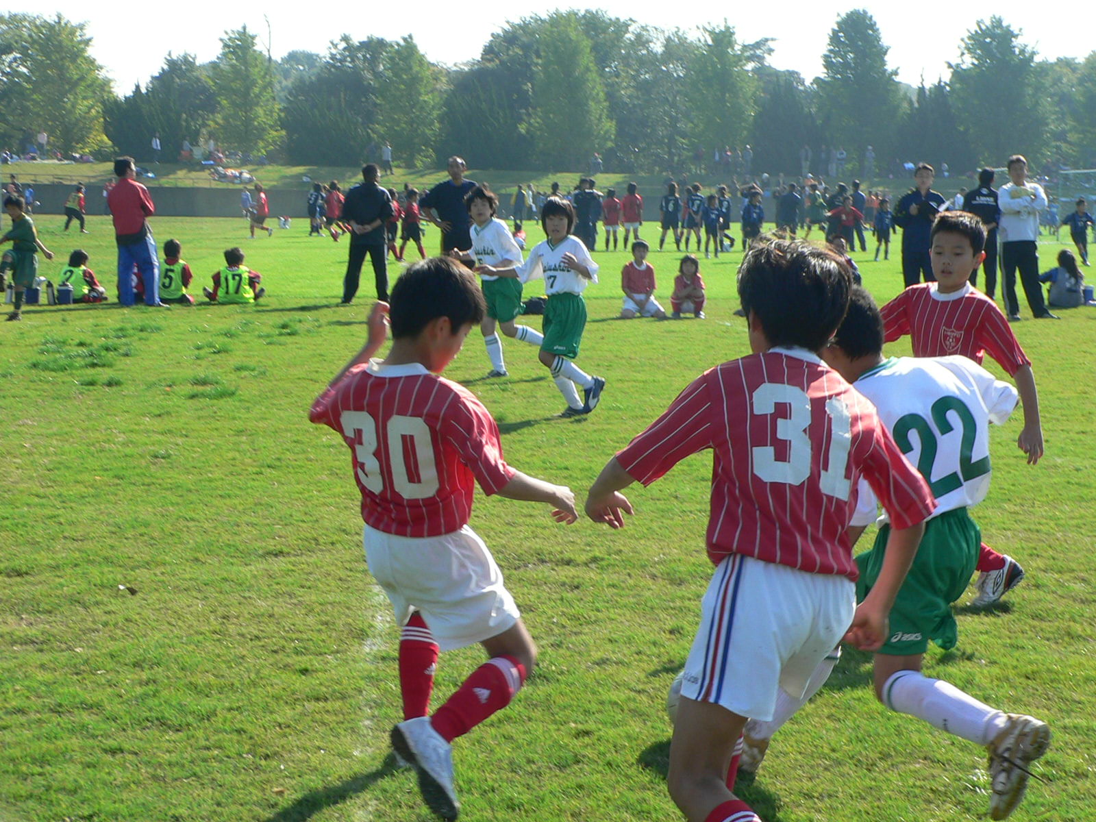 P1020169.JPG