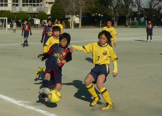 P1060742-1.jpg