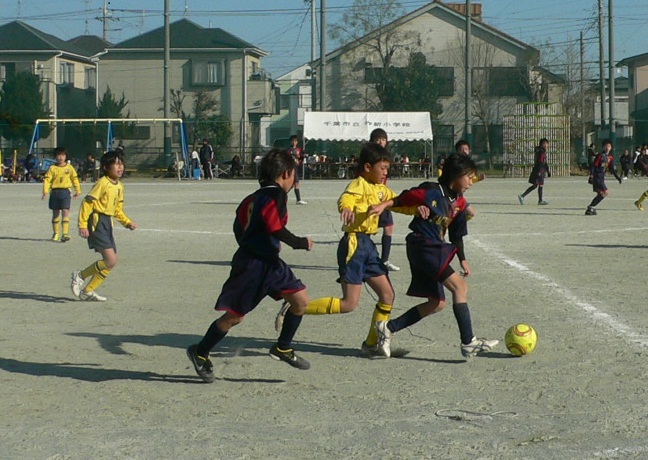 P1060767-1.jpg